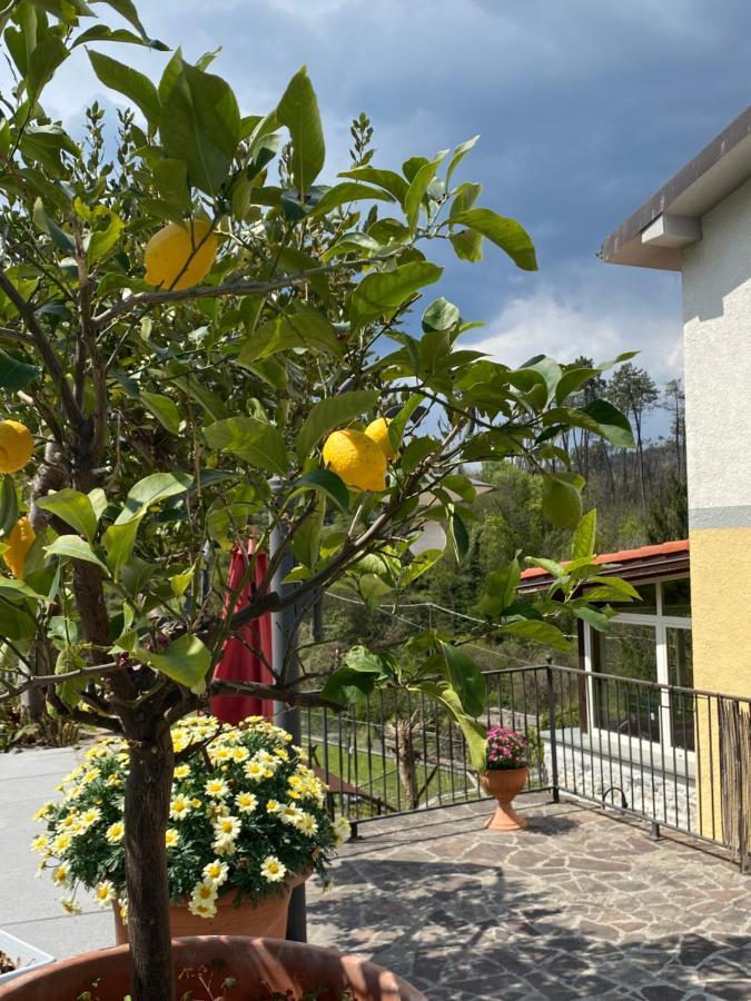 Country House La Scortica Беверино Экстерьер фото